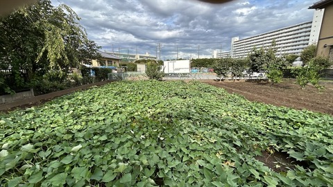 2025-09-21 14.54.25●_R