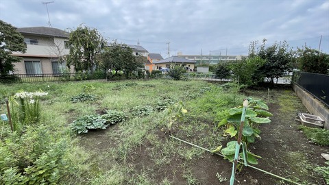 IMG_E6481●_R