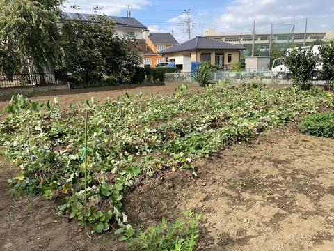 2022-09-17 14.03.27●_R