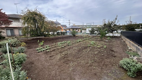 2025-11-02 13.20.58-1●_R