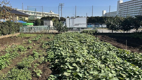 2024-11-04 10.34.42●_R