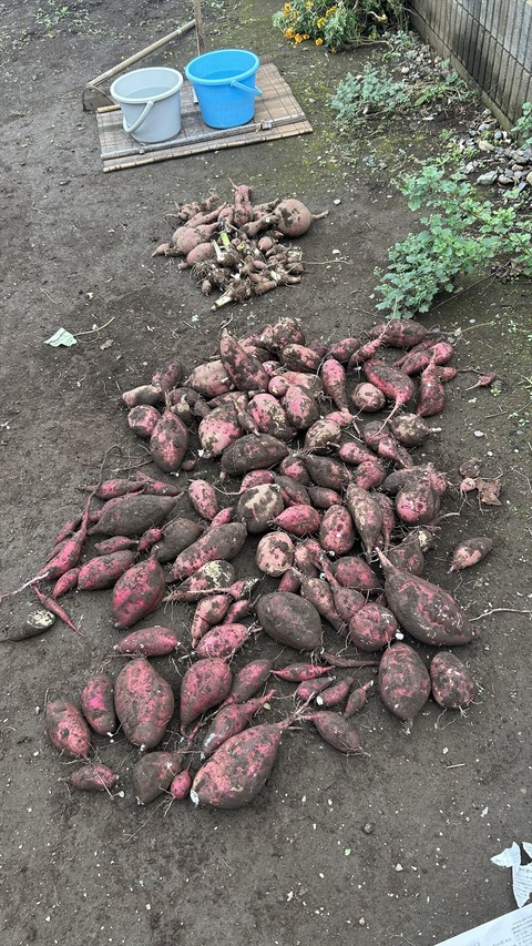 2025-11-02 12.13.19●_R