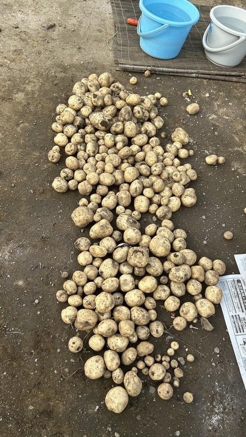 2025-06-21 17.13.48●_R