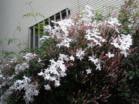 P5050006