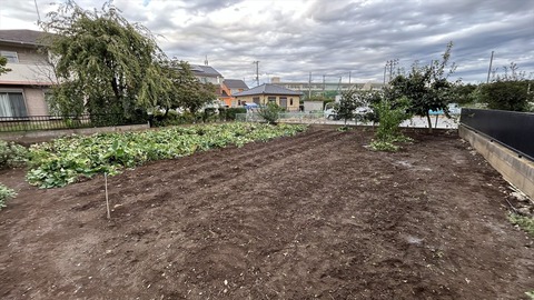 2025-09-21 16.46.26●_R