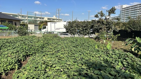 2024-10-14 14.18.32●_R