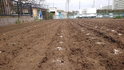 2021-03-20 13.32.49●_R