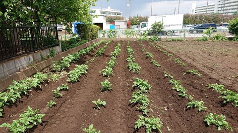 2021-05-02 12.48.44●_R