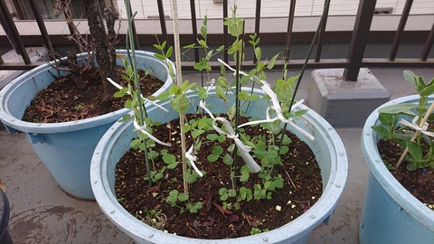 2020-12-12 15.51.49●_R