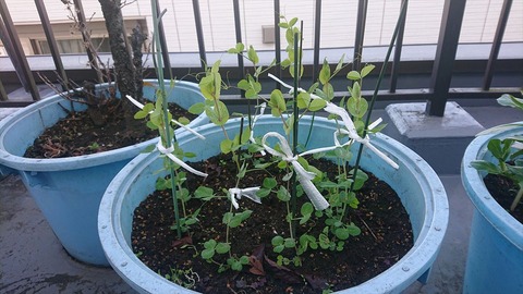 2020-12-08 09.47.01●_R