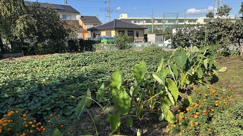 2024-10-14 14.18.19-1●_R