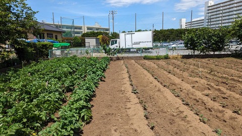 2024-05-25 13.06.13-1●_R