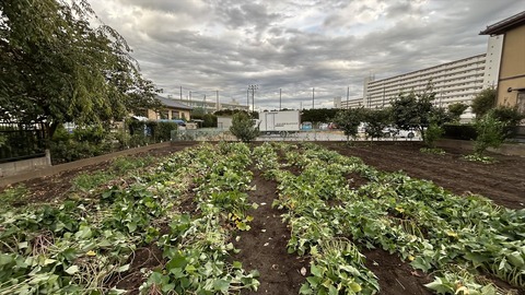 2025-09-21 16.46.50●_R