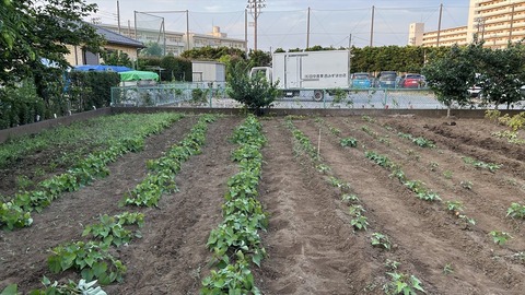 2025-06-29 18.31.56●_R