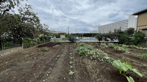 IMG_E6831●_R