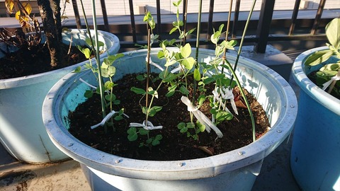 2020-11-22 15.02.59●_R