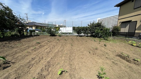 IMG_E6232●_R