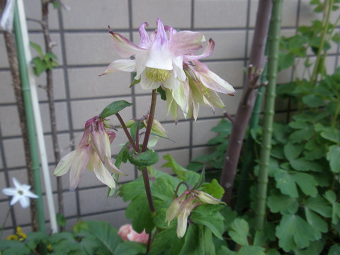 P4110012