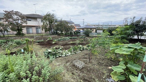 IMG_E6826●_R