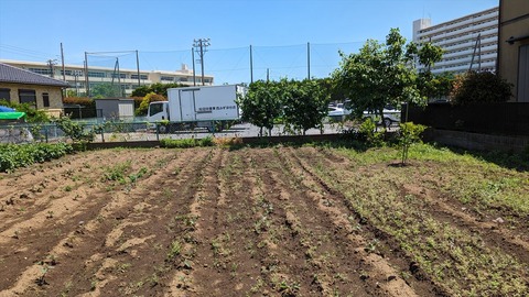 2024-05-25 10.37.41●_R