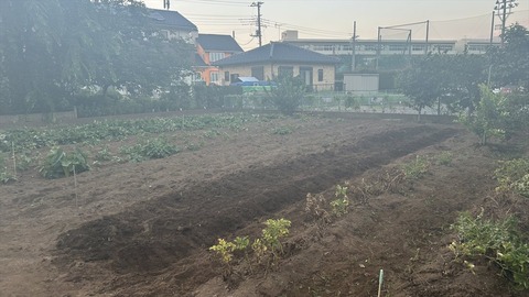 2025-07-13 18.45.59●_R