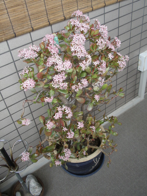 P3190103