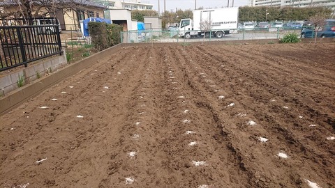 2021-03-20 13.32.30●_R