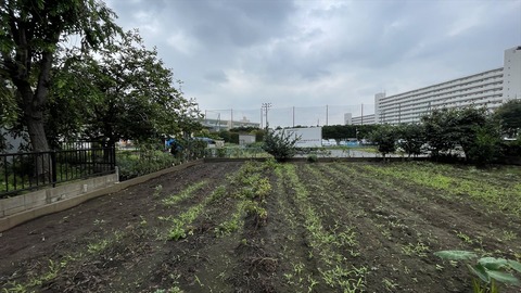 IMG_E6172●_R