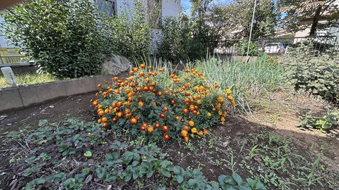 2025-10-18 11.13.39●_R