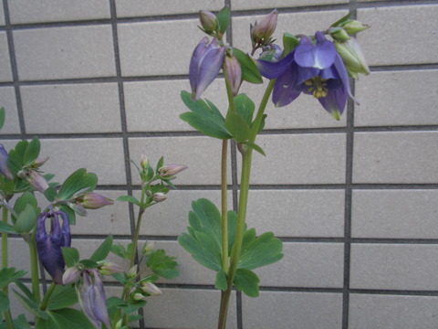 P4110013
