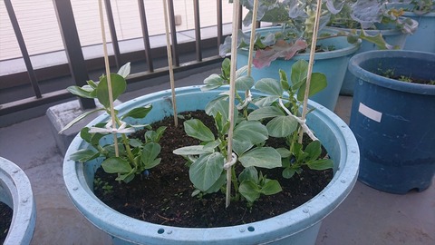 2020-12-08 09.46.52●_R