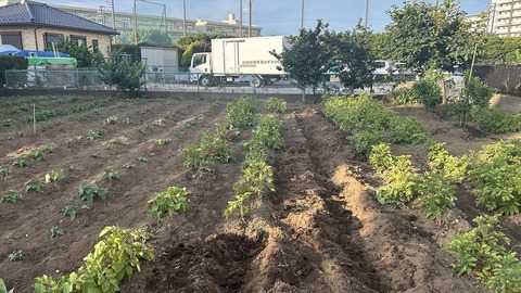 2025-06-21 17.38.49●_R