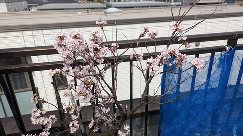 2023-03-12 11.27.04●_R