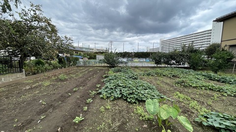 IMG_E6817●_R
