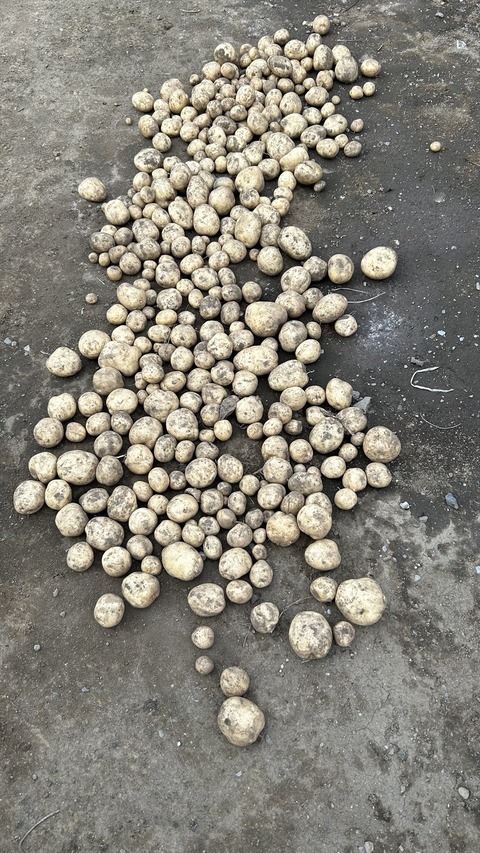 2025-06-29 17.20.51●_R