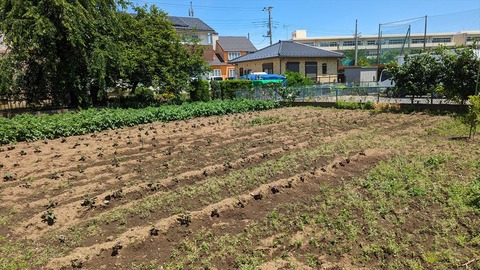 2024-05-25 10.37.26●_R