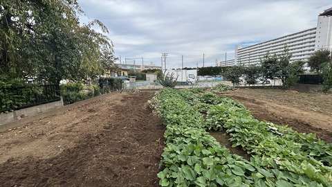 2025-10-13 12.57.57●_R