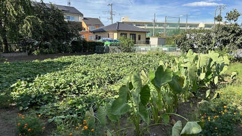 2024-09-15 15.13.36-1●_R