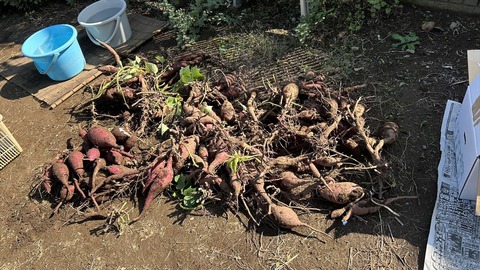 2024-11-04 11.40.51●_R