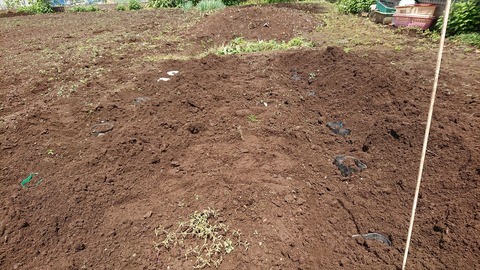 2021-05-02 12.49.22●_R