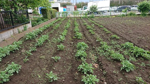 2021-05-02 11.59.09●_R