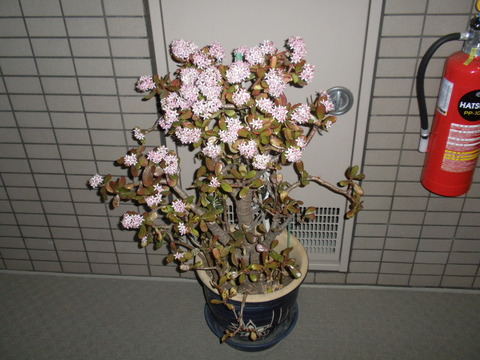 P3170095