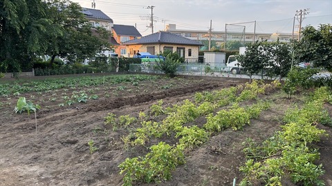 2025-06-29 18.31.31●_R