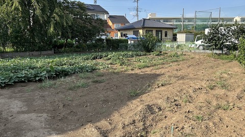 2025-08-23 15.57.43-1●_R