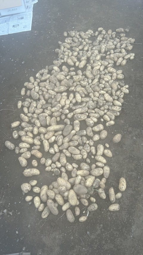 2025-07-13 18.15.04●_R