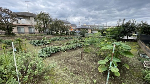 IMG_E6814●_R