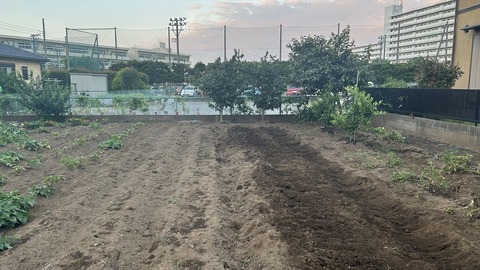 2025-07-13 18.46.17●_R