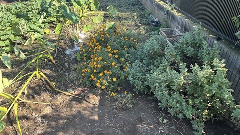 2024-11-04 10.34.10●_R