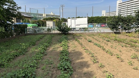 2025-06-29 16.03.32●_R