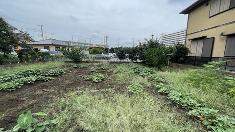 IMG_E6547●_R